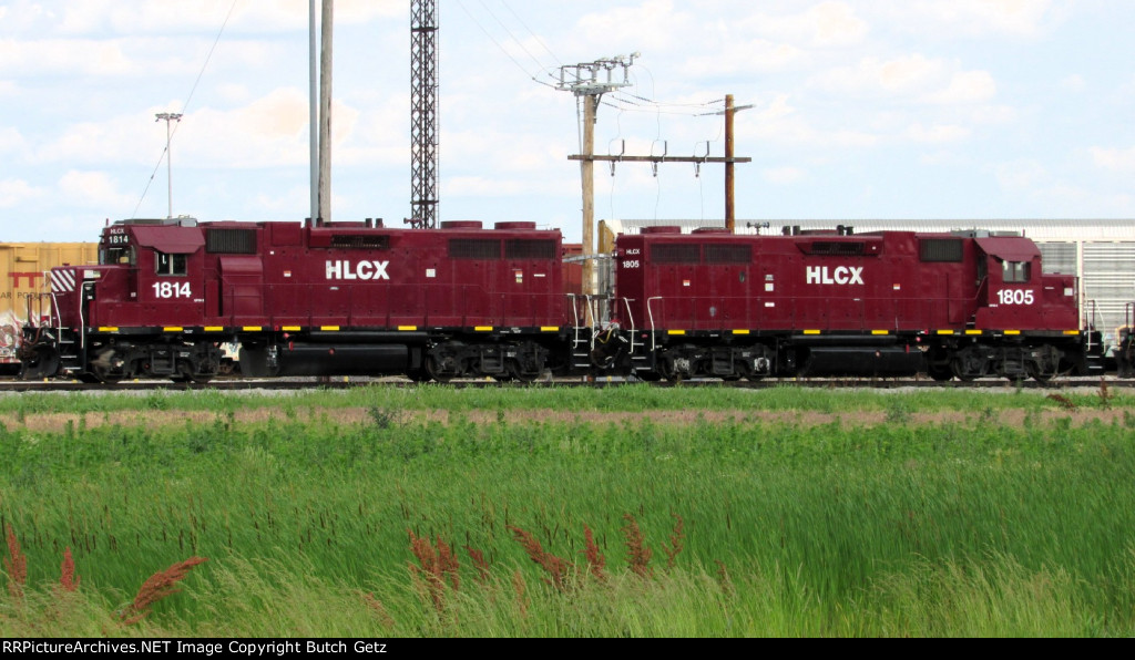 Geep duo....